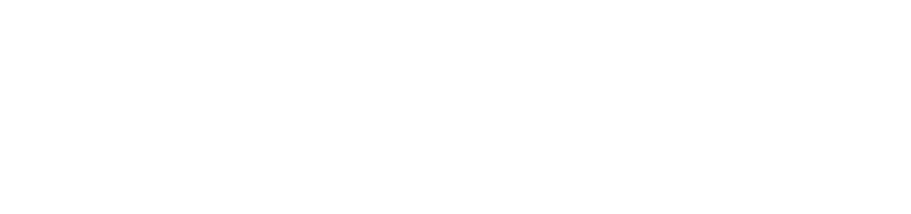 Logo horizontal - Blanc